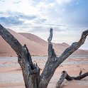 NAM HAR Dune45 2016NOV21 029 : 2016 - African Adventures, Hardap, Namibia, Southern, Africa, Dune 45, 2016, November